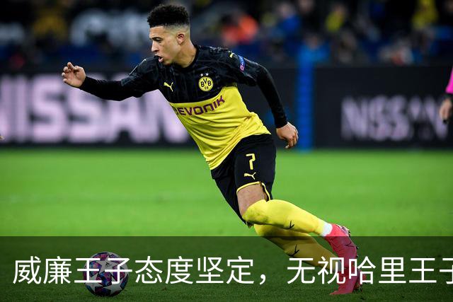 威廉王子态度坚定，无视哈里王子的和解请求，依旧拒绝原谅他