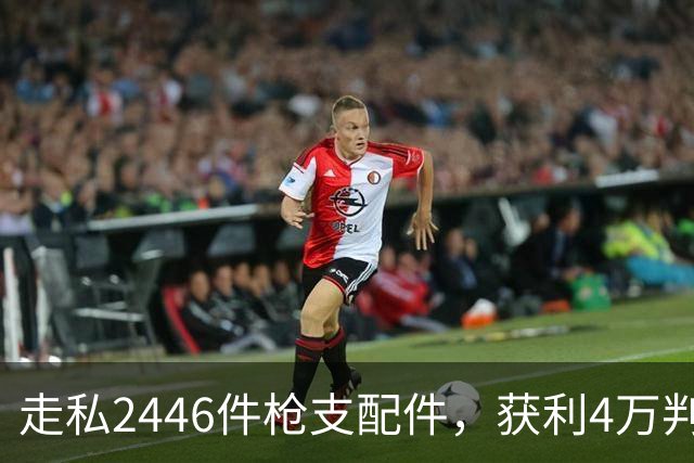 走私2446件枪支配件，获利4万判了10年，国家射击教练田红案披露