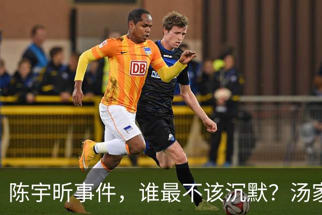 陈宇昕事件，谁最不该沉默？汤家凤博士一语戳中软肋